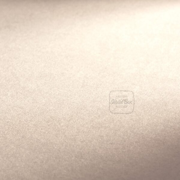 The Cappucccino Book 120 Gsm 40 Sheets A4 Sized Light-Brown Toned Sketch Book - Hahnemühle - Image 2