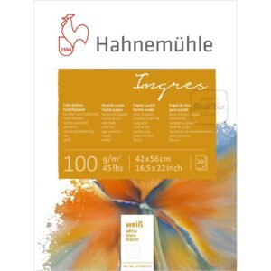 Mould-Made Ingres For Pastel White 100 Gsm 20 Sheets 42x56 Cm Pad - Hahnemühle