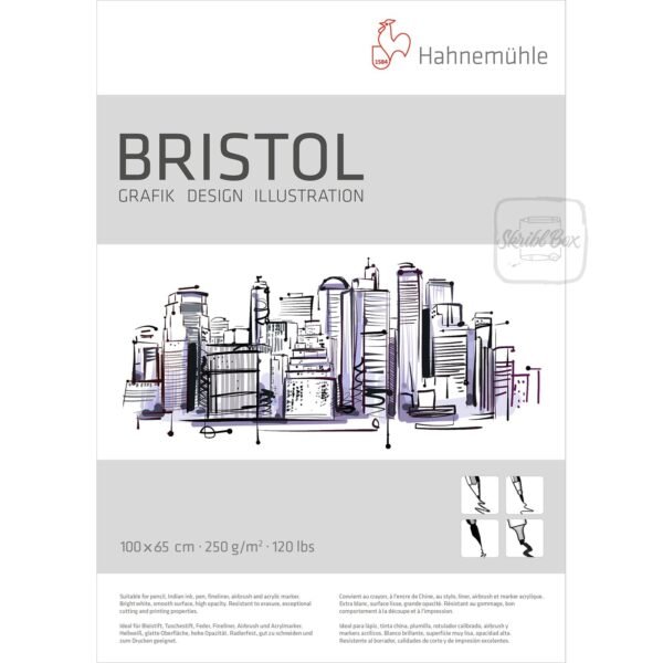 Bristol Board 310 Gsm 100x65 Cm Sheets - Hahnemühle